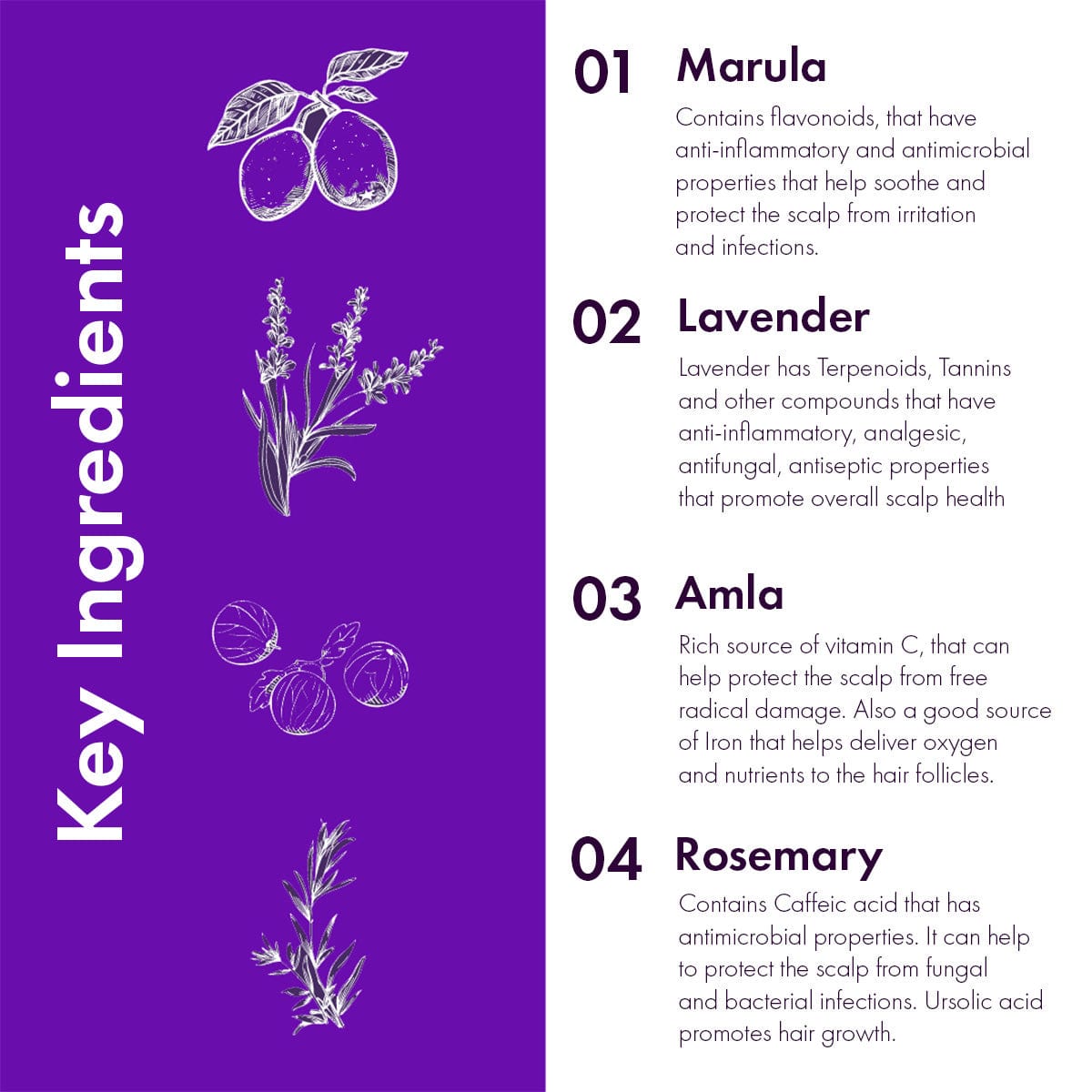 Flourish Scalp Serum Marula & Lavender